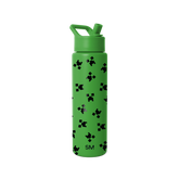 Summit Water Bottle with Straw Lid