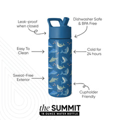 Summit Kids Water Bottle with Straw Lid