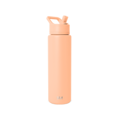 Summit Water Bottle with Straw Lid