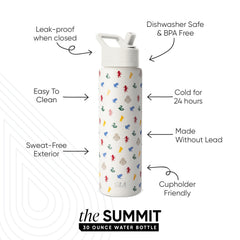 Summit Water Bottle with Straw Lid